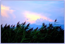 Sunset 8-9-2014.jpg