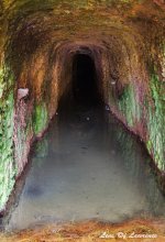 Gold Mine shaft LOL.jpg