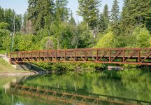 Whitefish-3.jpg