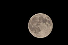 DSC_0950.jpg