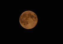 DSC_0412.jpg