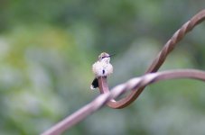 DSC_4341.jpg
