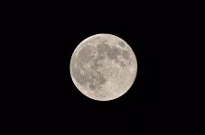 DSC_4388.jpg