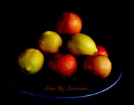 High citrus LOL.jpg