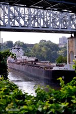 8-10-2014  CLE  13.jpg