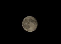 DSC_2410.jpg