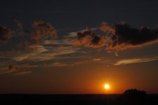 DSC_0272.jpg