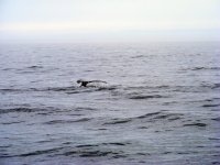 DSCF1723.jpg