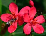 DSC_9886.jpg