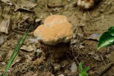 DSC_9753.jpg