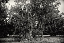D71_0109-Edit.jpg