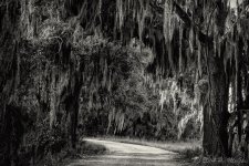 D71_0158-Edit.jpg