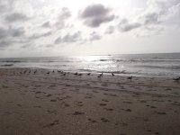 DSCF0498.jpg