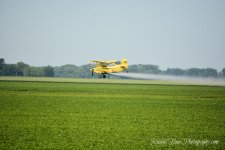 airsprayer2.jpg