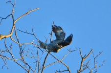DSC_4541.jpg