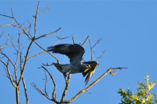 DSC_4542.jpg