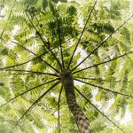 NEW_4953_webshot.jpg