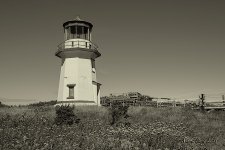 DSC_6010 - copie.jpg