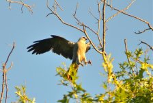 DSC_4612.jpg