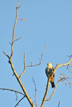 DSC_4659.jpg