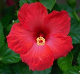 DSC_5664.jpg