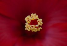 DSC_5673.jpg