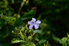 DSC_9984.jpg