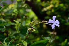 DSC_9985.jpg
