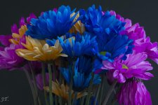 D7100 #3 Flowers_014.jpg