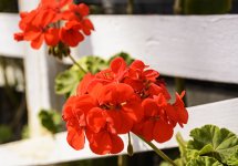 NEW_5034_webshot.jpg