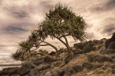 NEW_5083_HDR_webshot.jpg