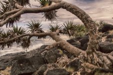 NEW_5089_HDR_webshot.jpg