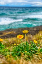 NEW_5112_HDR_webshot.jpg