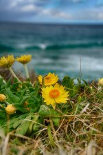NEW_5117_HDR_webshot.jpg