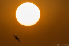 SHM_6537.jpg