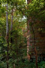 DSC_2993-20140813 (682x1024).jpg