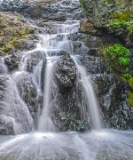 MillPond_007_008_009_HDR_sat_crop.jpg