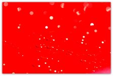 Raindrops with Bokeh.jpg