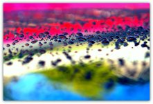 Colorful Raindrops on Car Window.jpg