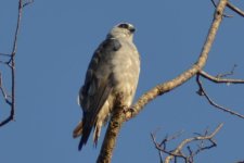 DSC_4774.jpg