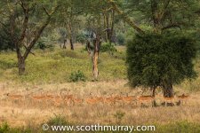 DSC_8332.jpg