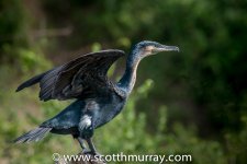 DSC_7719.jpg