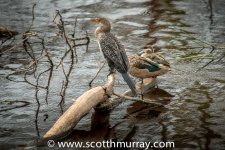 DSC_8422.jpg
