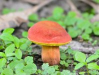 DSC_4808.jpg
