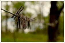 Clothesline.jpg