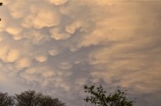clouds2 (800x531).jpg
