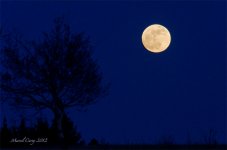 moon1.jpg