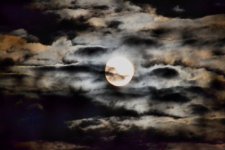 moon1.jpg