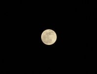moon5.jpg