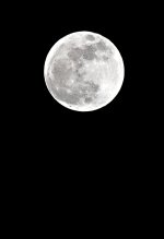 _DSC5886 - Version 2.jpg